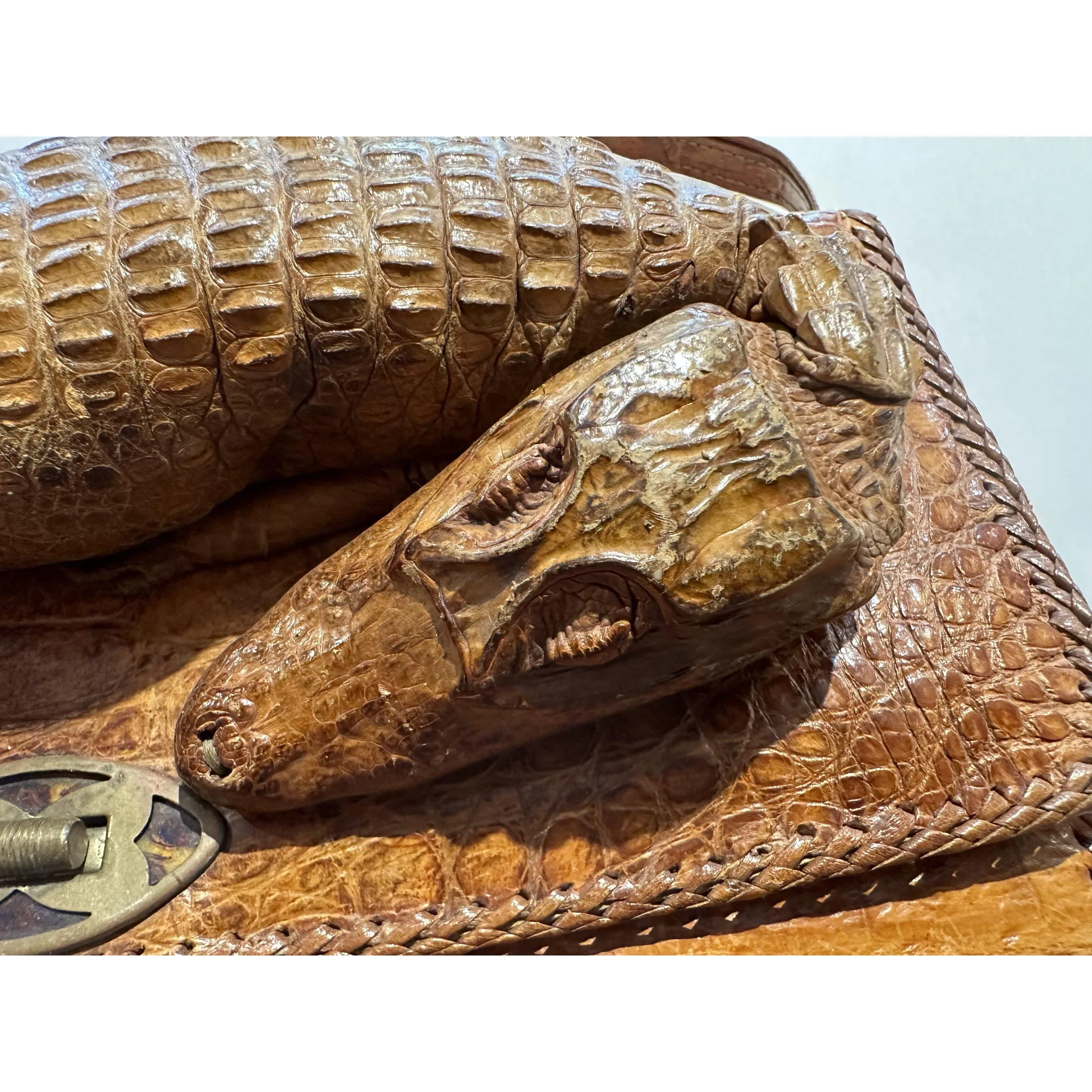 Vintage Alligator Head Purse 1920s-30s Authentic Alligator | Etsy UK | Alligator  purse, 1920s accessories, Purses