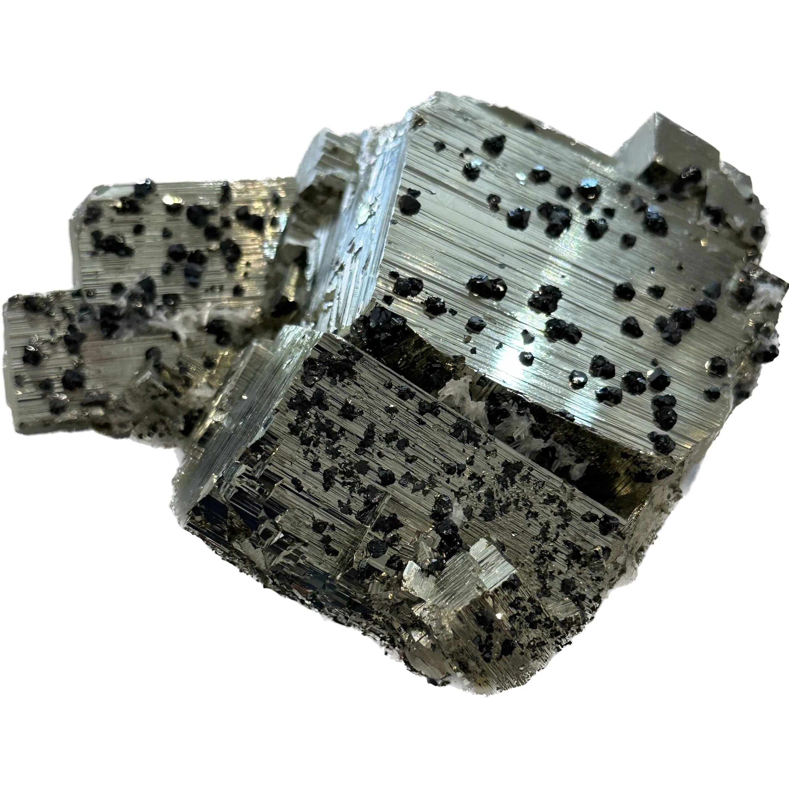 Collector Pyrite with Galena Prehistoric Online