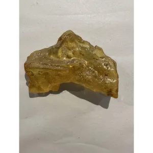Copal Amber with Bugs Prehistoric Online