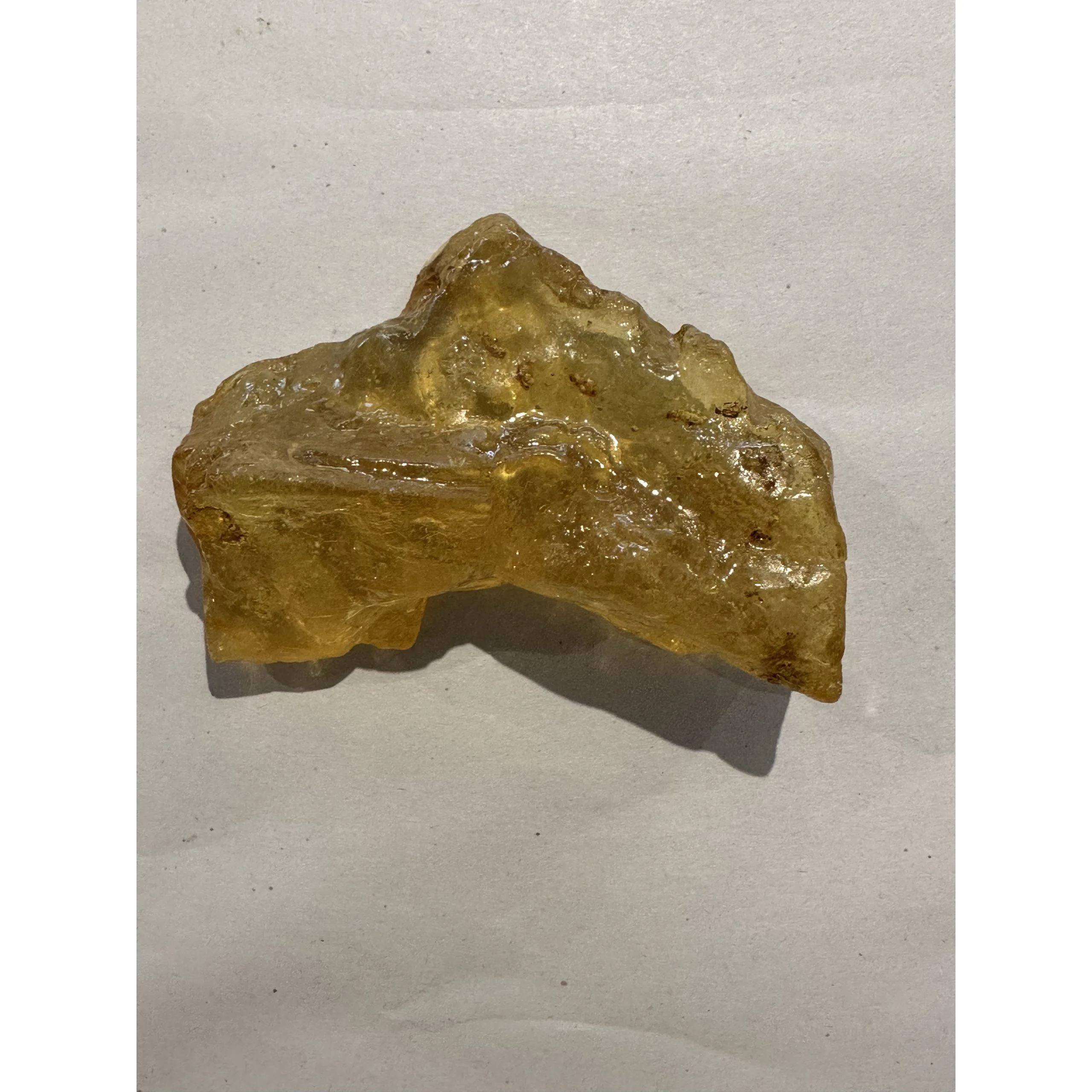 Copal Amber with Bugs Prehistoric Online