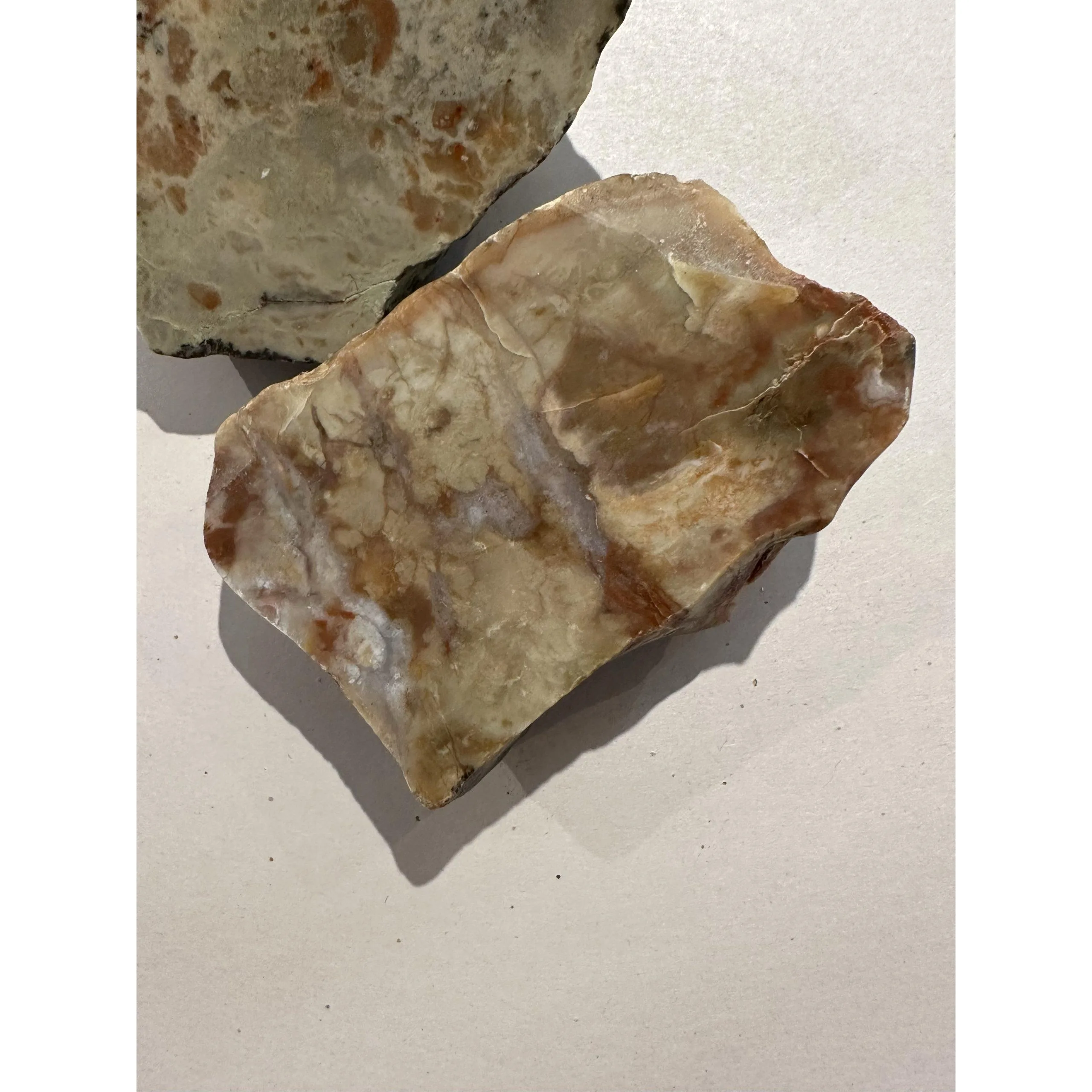 Dinosaur Coprolite, Utah, fossil poop Prehistoric Online