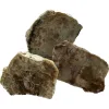 Dinosaur Coprolite  Utah Prehistoric Online