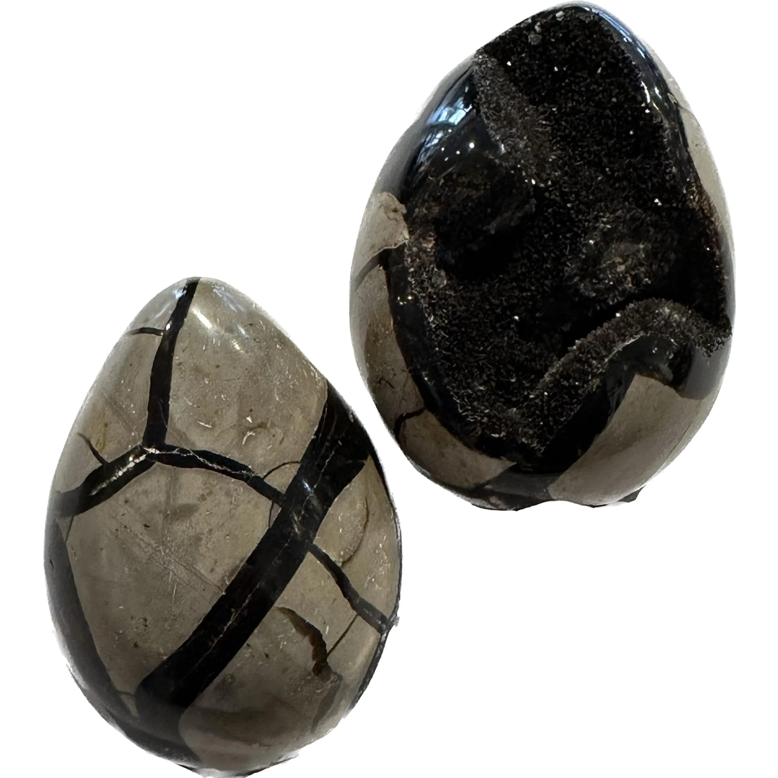 Septarian Dragon Egg,  3-4 inch Prehistoric Online