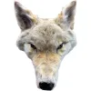 Blonde Coyote Taxidermy Very Rare Prehistoric Online