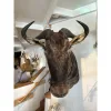 Huge African Blue Wildebeest head mount Prehistoric Online
