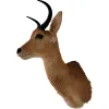 African Reedbuck Head mount Prehistoric Online