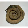 Turkey snake taxidermy gaffe Prehistoric Online