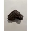 Coprolite (poop), Turtle, Cretaceous age Prehistoric Online