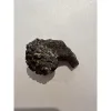 Unusual Coprolite (poop), Turtle, Cretaceous age Prehistoric Online