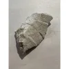 Turtle shell section, Oligocene age, Big fossil Prehistoric Online