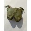 Two headed toad gaffe taxidermy Prehistoric Online