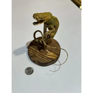 Rattlesnake head on lizard body on wood stand Prehistoric Online