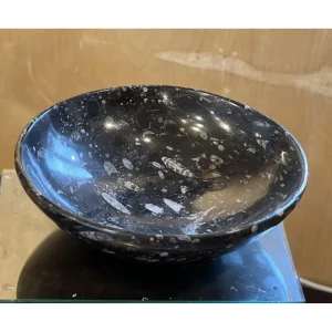 Huge fossil decorative bowl Prehistoric Online