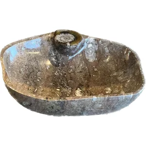 Huge fossil decorative bowl or sink Prehistoric Online