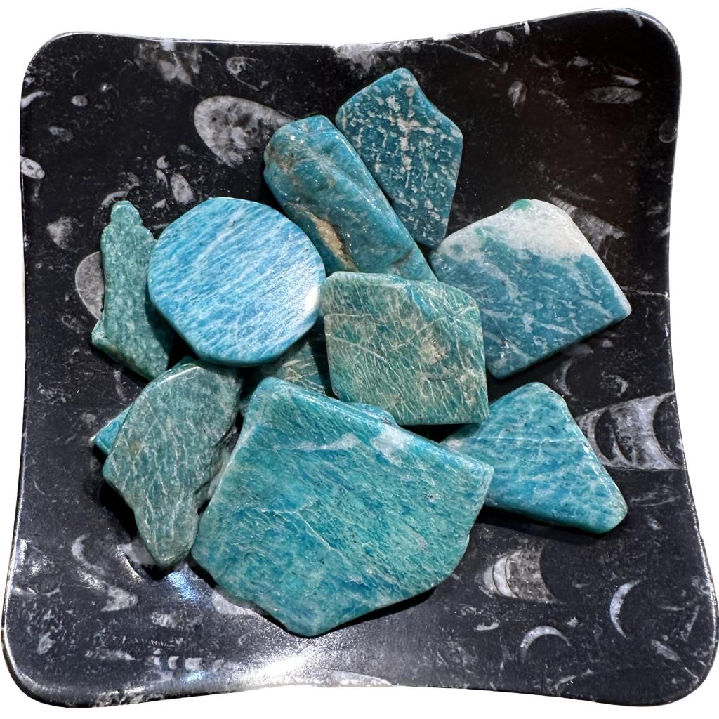 This is a picture of a group of nugget-sized Russian Amazonite displayed on an Orthoceras fossil plate.