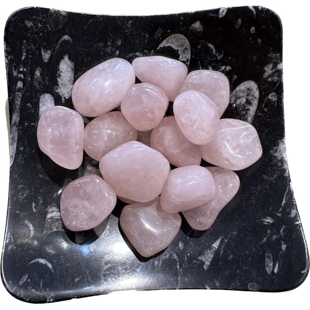 This is a picture of a group of nugget-sized rose quartz displayed on an Orthoceras fossil plate.