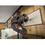 Trex Skull Replica on custom stand Prehistoric Online