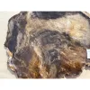 Petrified wood, Oregon Prehistoric Online