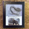 Riker Box Collection – Mammoth Hair Prehistoric Online