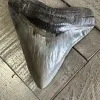 Very Rare Megalodon Tooth, S. Georgia 5.50″ length 5″ width Prehistoric Online