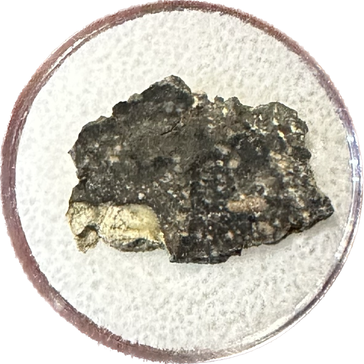 Moon rock, NWA 11428 IMCA registered Prehistoric Online