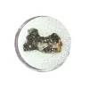 Moon rock, NWA 11428 IMCA registered Prehistoric Online