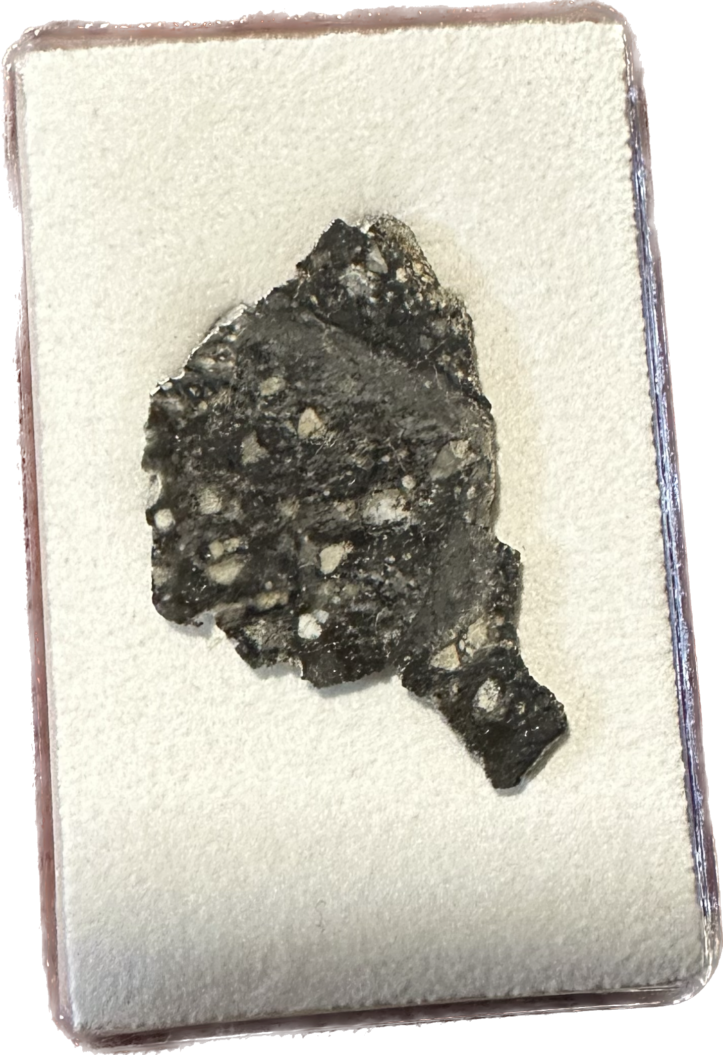 Moon rock, end cut, NWA 11428 IMCA Prehistoric Online