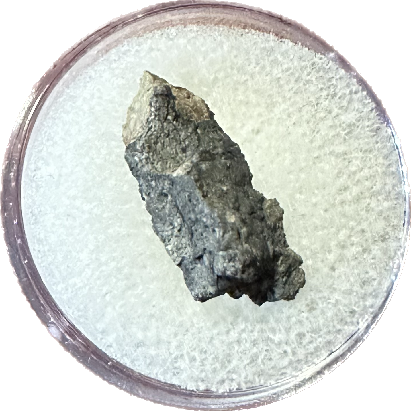 Moon rock, end cut, NWA 11428 IMCA Prehistoric Online