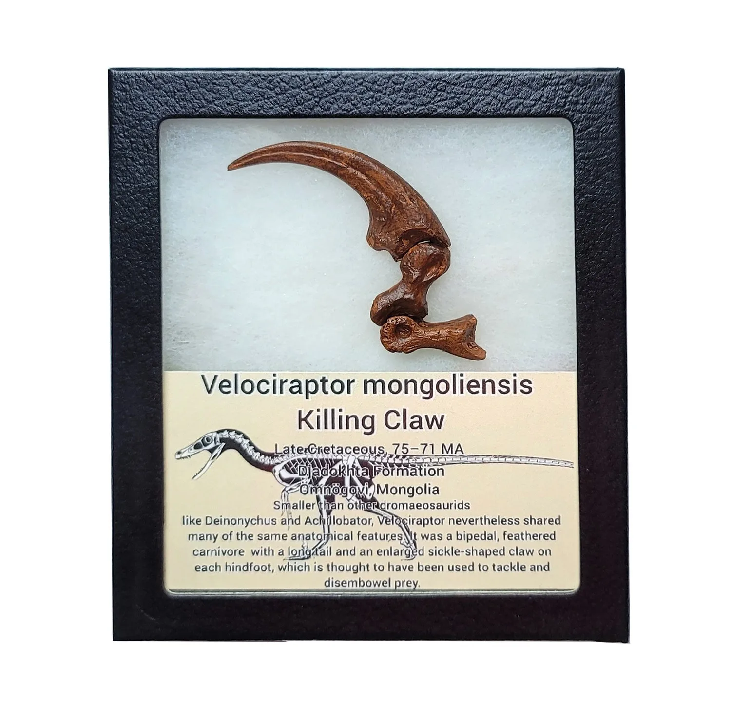 Velociraptor killing claw replica Prehistoric Online