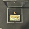 Carcharodontosaurus tooth, see through gem case Prehistoric Online