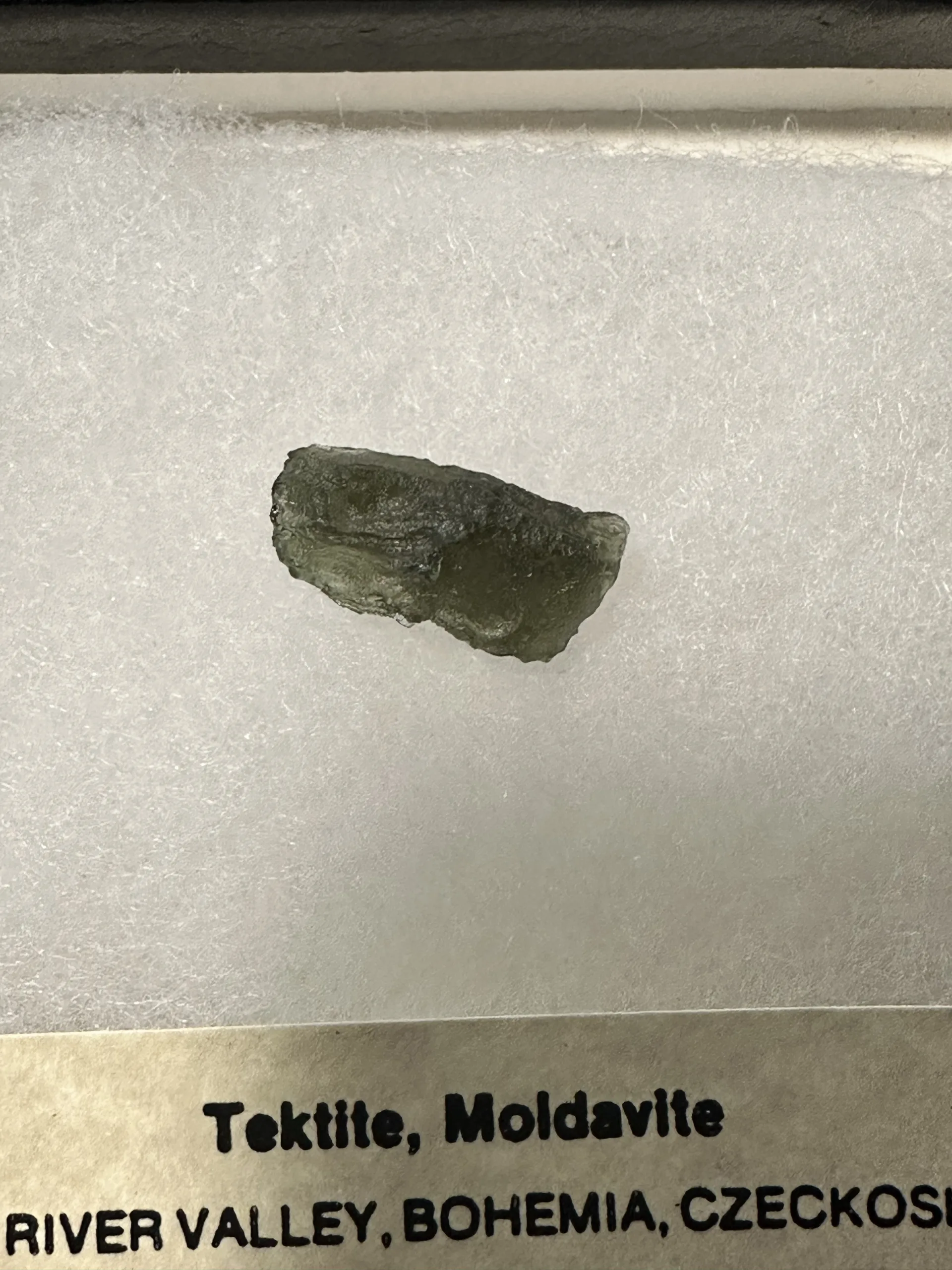 Moldavite, guaranteed 100% natural, Czech Republic Prehistoric Online