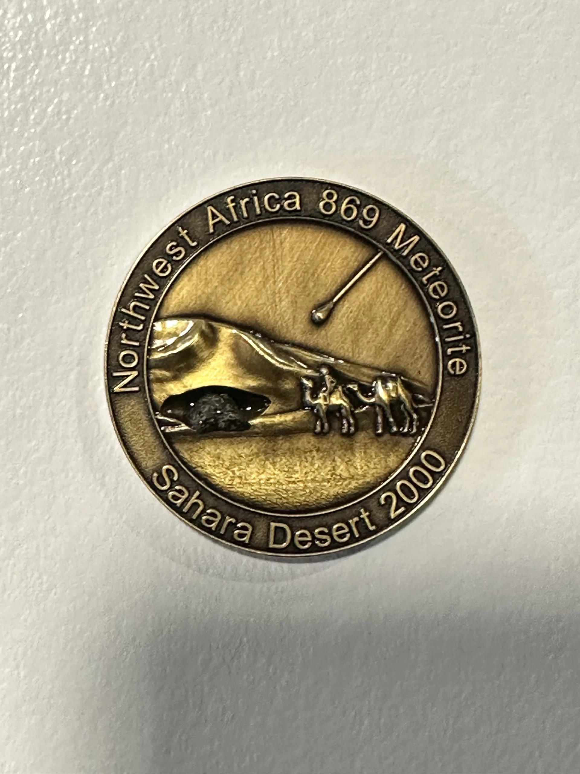 Meteorite coin, NWA869 Prehistoric Online