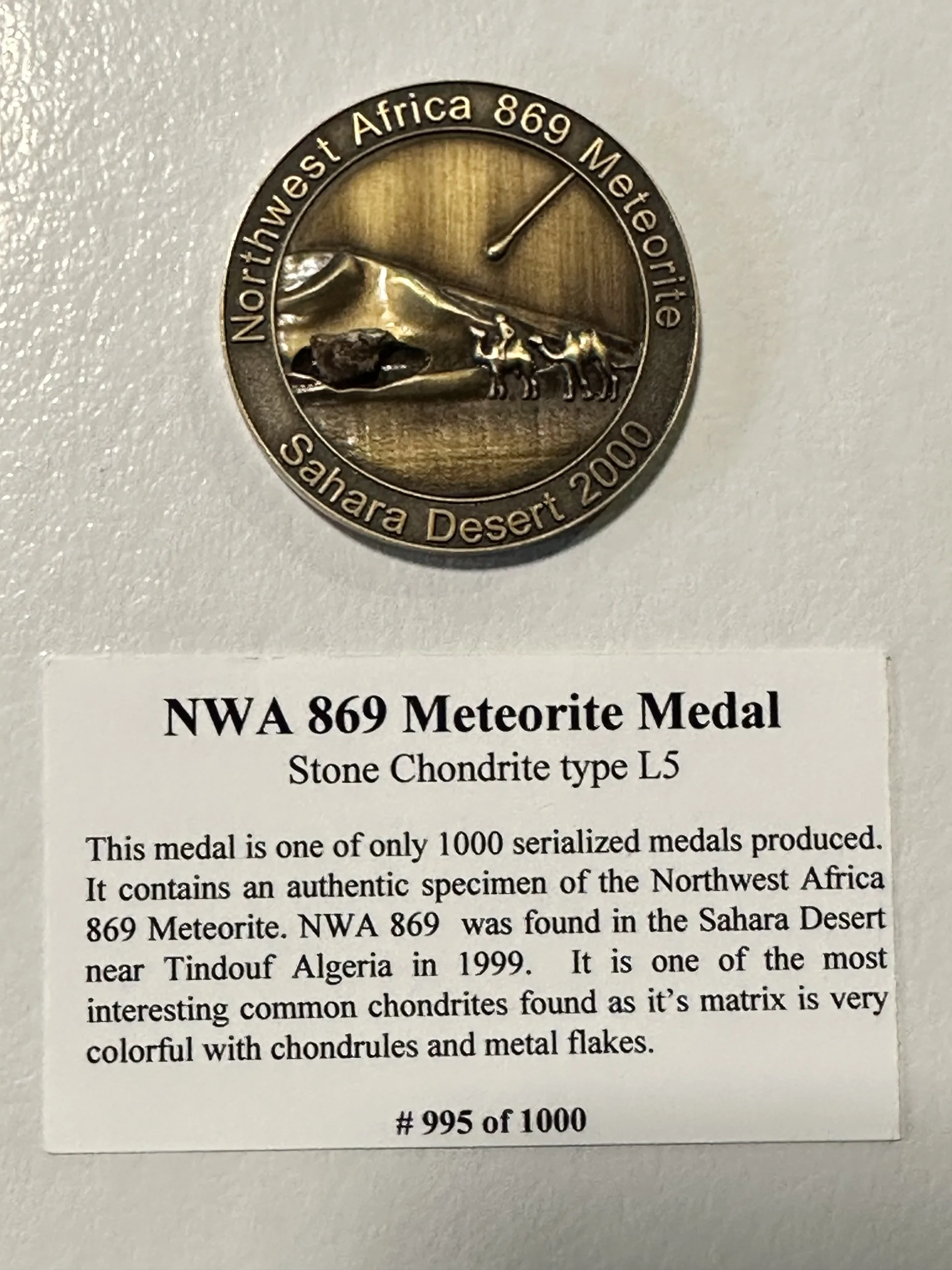Meteorite coin, NWA869 Prehistoric Online