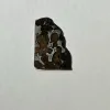Sericho Meteorite, Stony Iron Pallasite Prehistoric Online