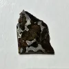 Sericho Meteorite, Stony Iron Pallasite Prehistoric Online