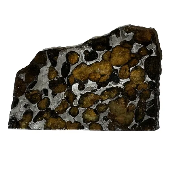 Meteorite, Sericho,  Stony Iron Pallasite Prehistoric Online