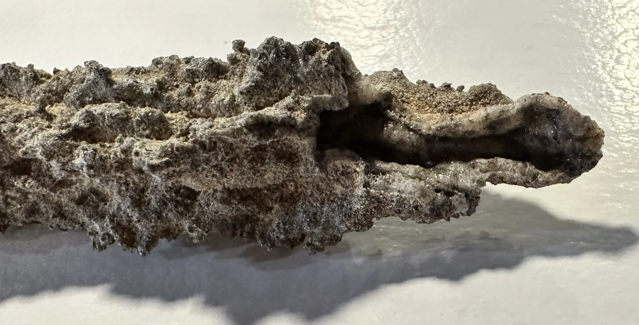 algerian fulgurite end view showing the opening