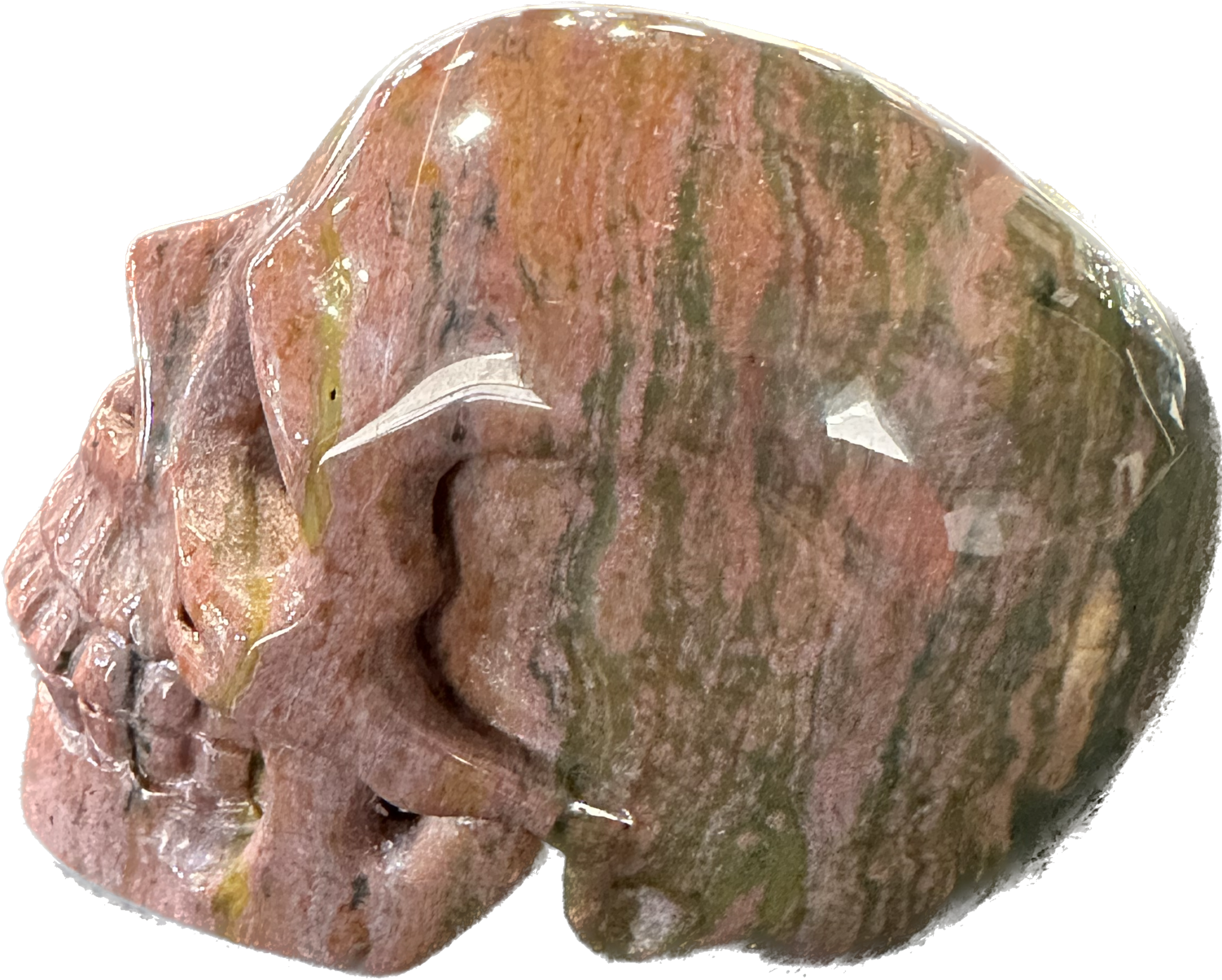 Unakite skull, hand finished, AA quality Prehistoric Online