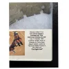 Chuck Yeager plane crash fragment, 1963 Prehistoric Online