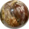 Huge Petrified Wood Sphere, Madagascar Prehistoric Online