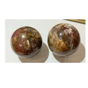 Huge Petrified Wood Sphere, Madagascar Prehistoric Online
