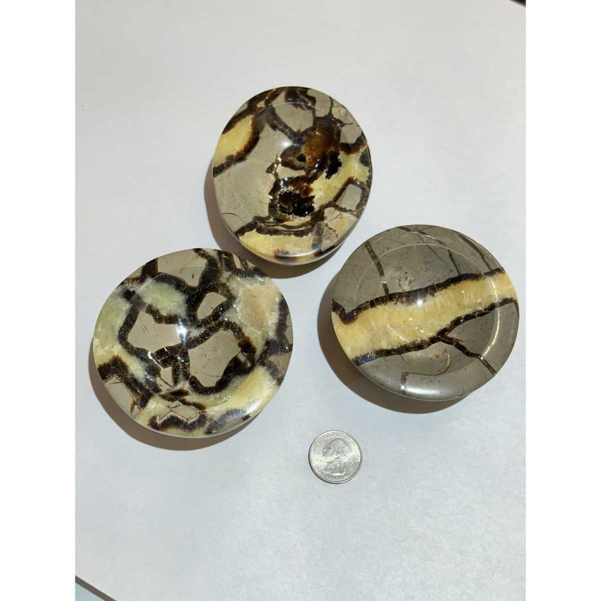 Septarian Carved Bowl – Utah, beautiful rounds, Utah Prehistoric Online