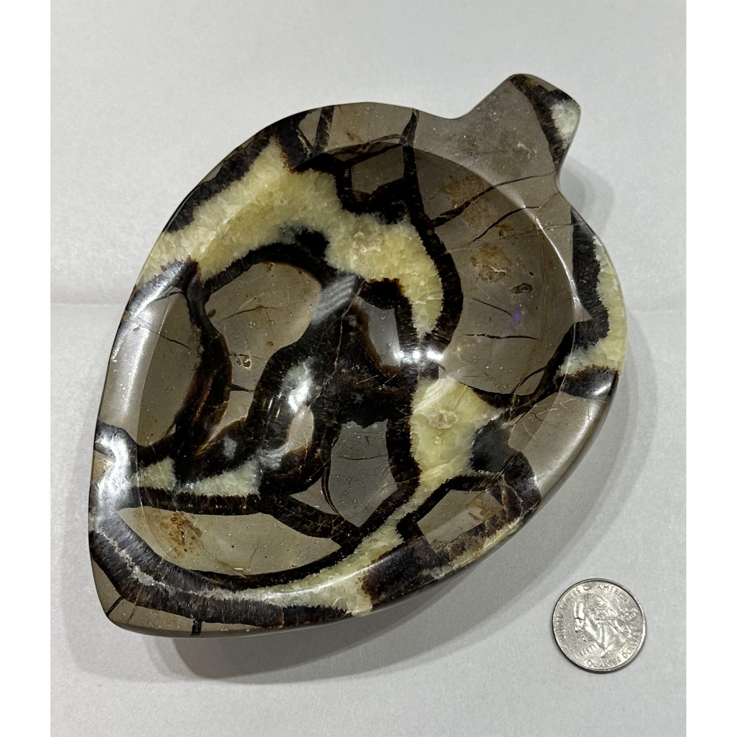 Septarian Carved leaf Bowl – Utah, Hand made Prehistoric Online
