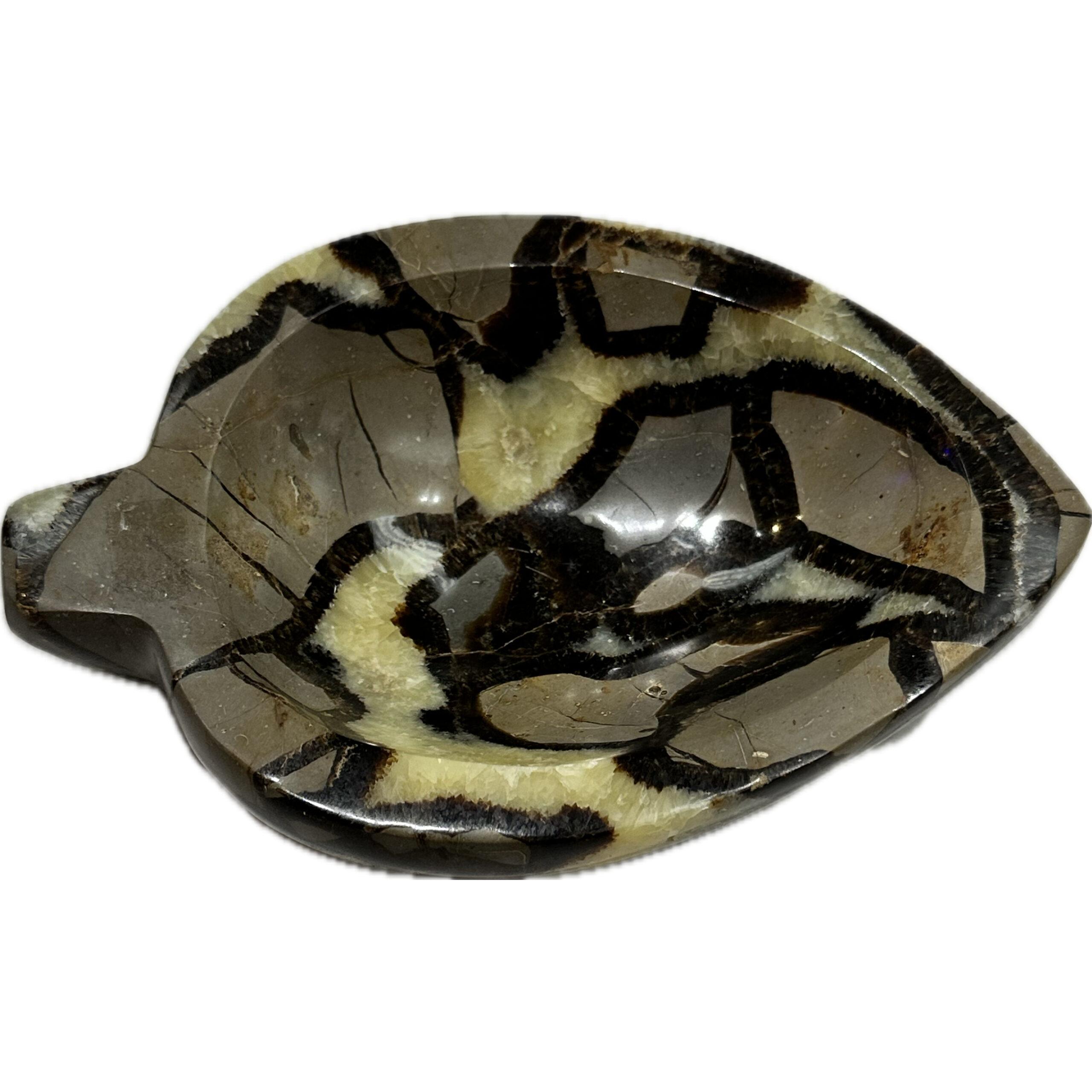 Septarian Carved leaf Bowl – Utah Prehistoric Online