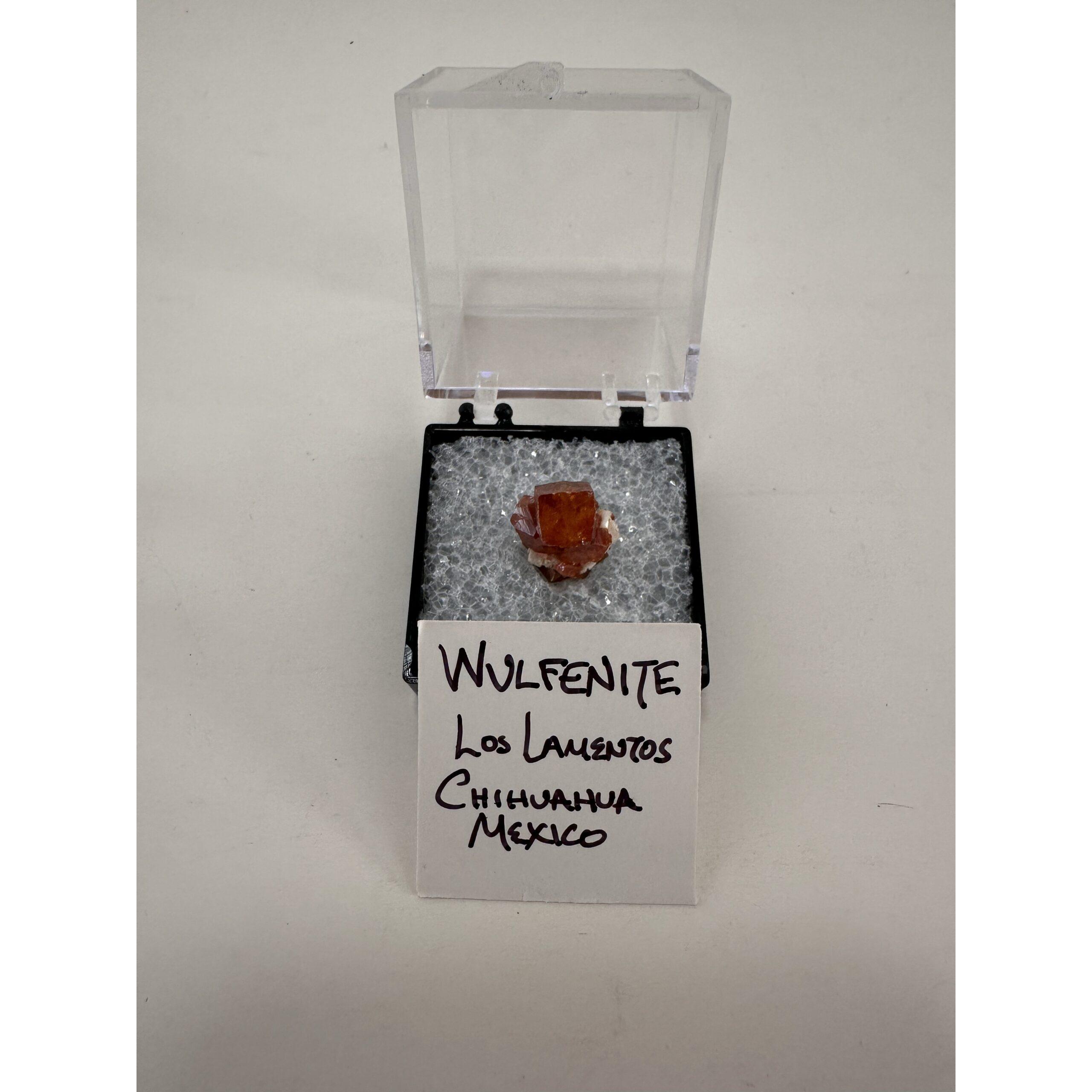 Wulfenite thumbnail mineral, Mexico Prehistoric Online