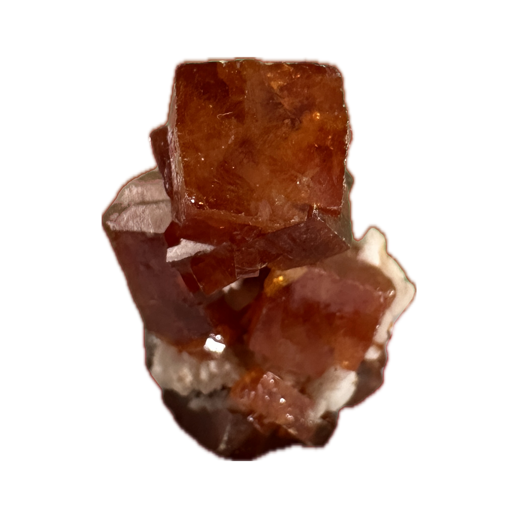 Wulfenite thumbnail mineral, Mexico Prehistoric Online