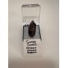 Smokey Quartz thumbnail mineral, Australia Prehistoric Online