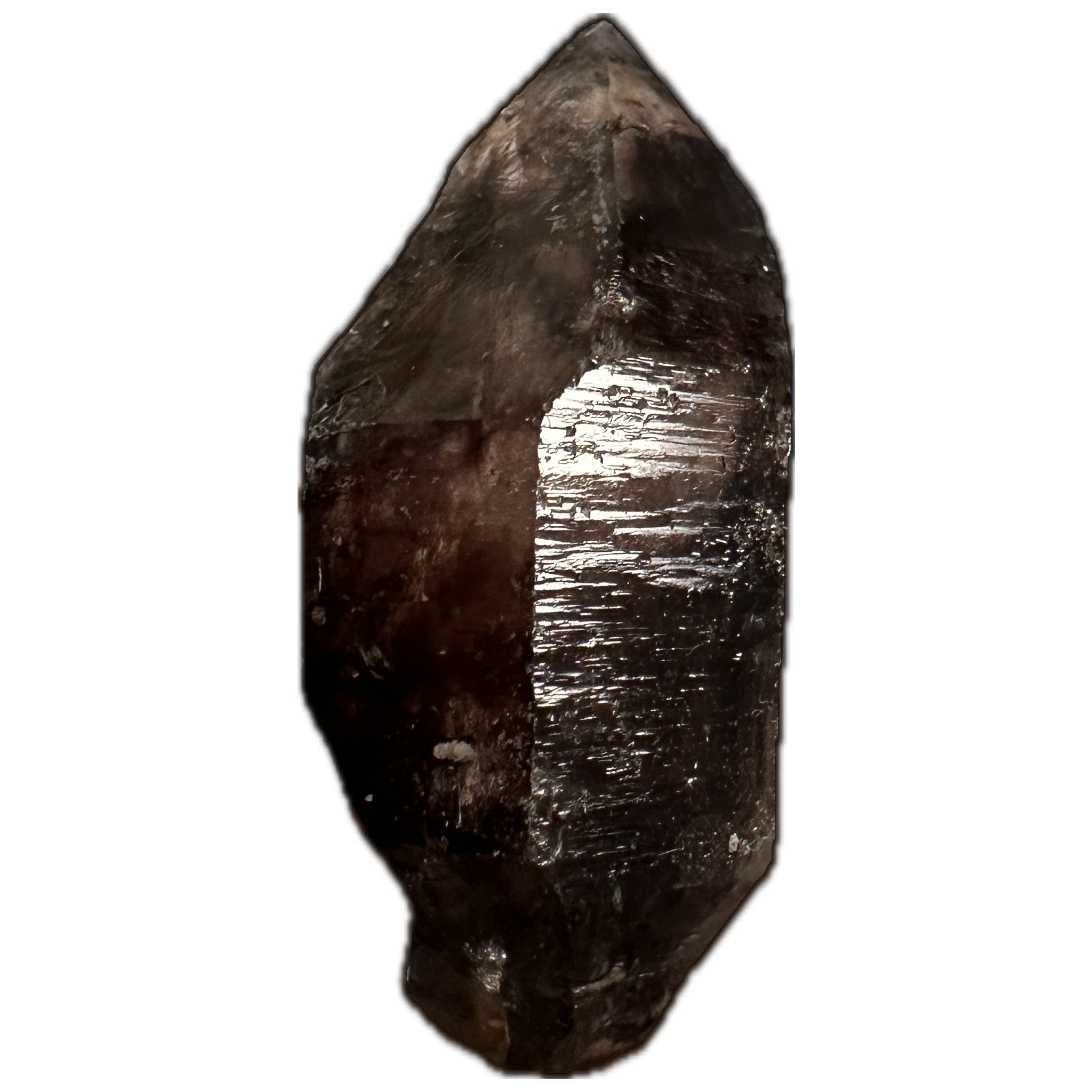 Smokey Quartz thumbnail mineral, Australia Prehistoric Online