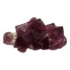 Fluorite thumbnail mineral, New Mexico Prehistoric Online