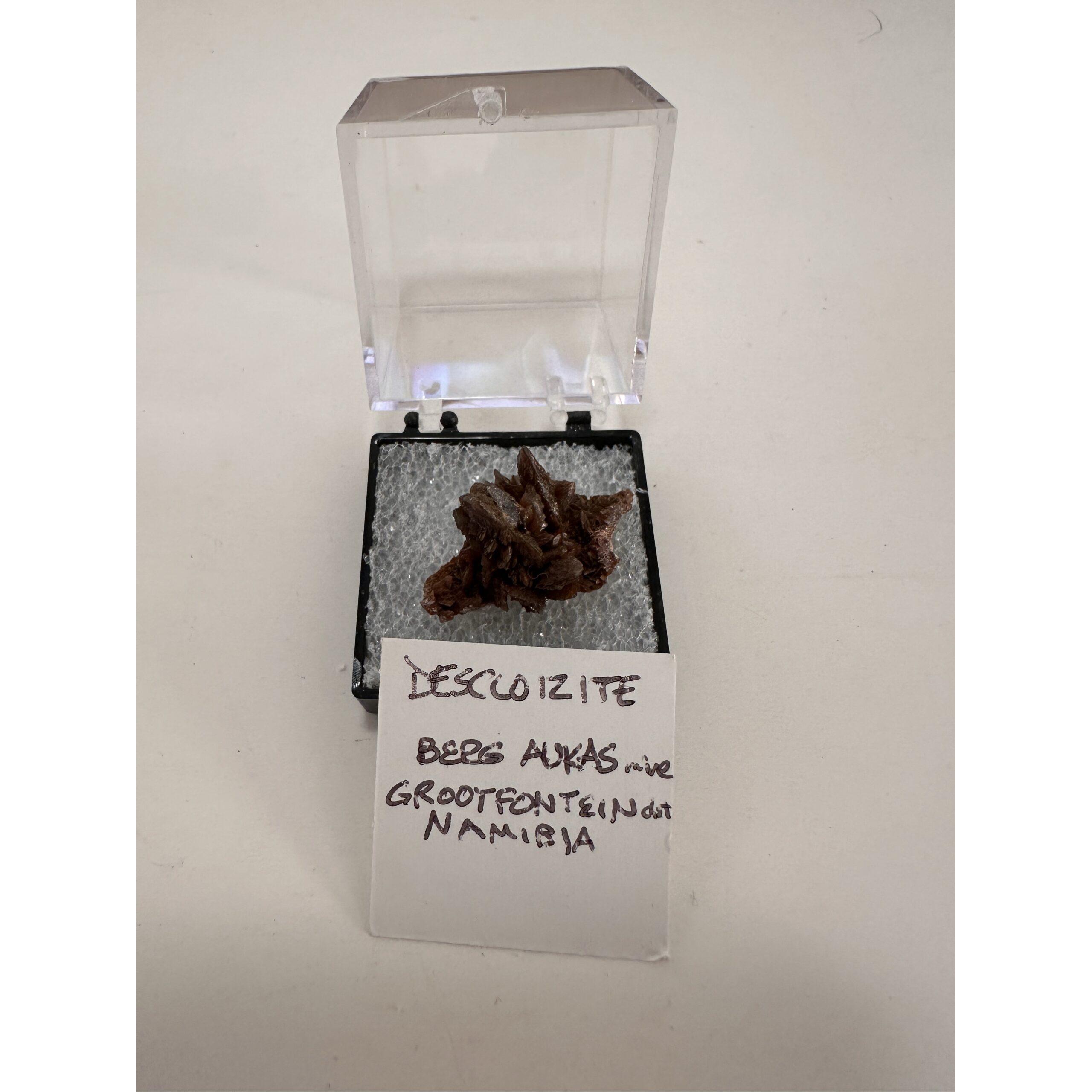 Descoizite thumbnail mineral, Namibia Prehistoric Online